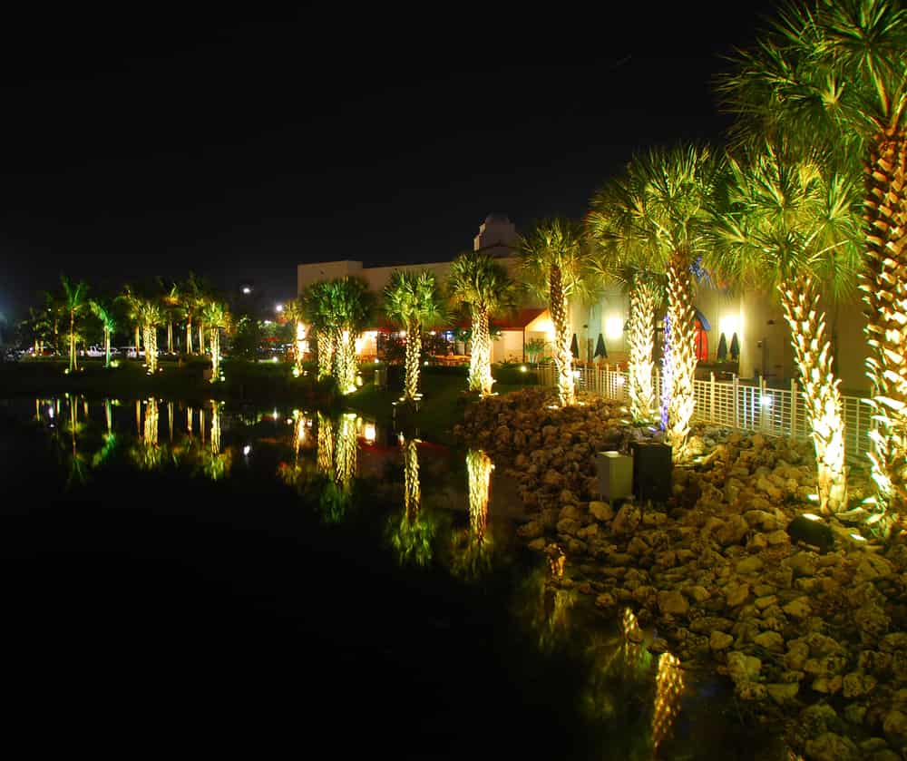 Guide For Lighting Trees and Shrubs in The Garden