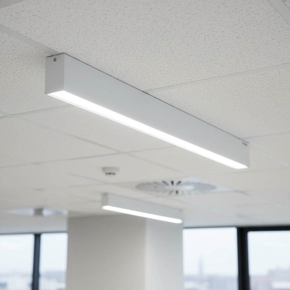 white surface mounted linear LED light mounted on a suspended ceiling in an office 