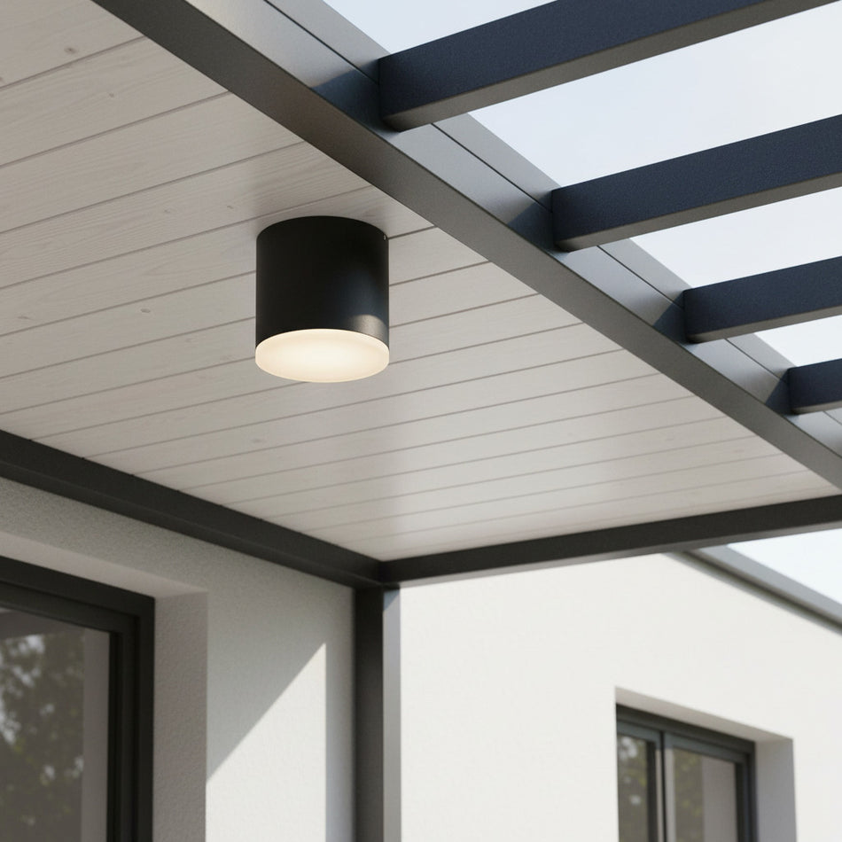black surface mounted exterior downlight mounted under a house outdoor canopy 