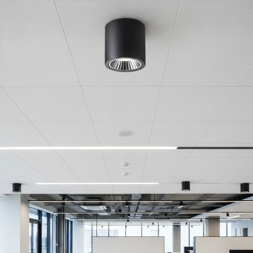 black large flush mount ceiling light mounted in an office