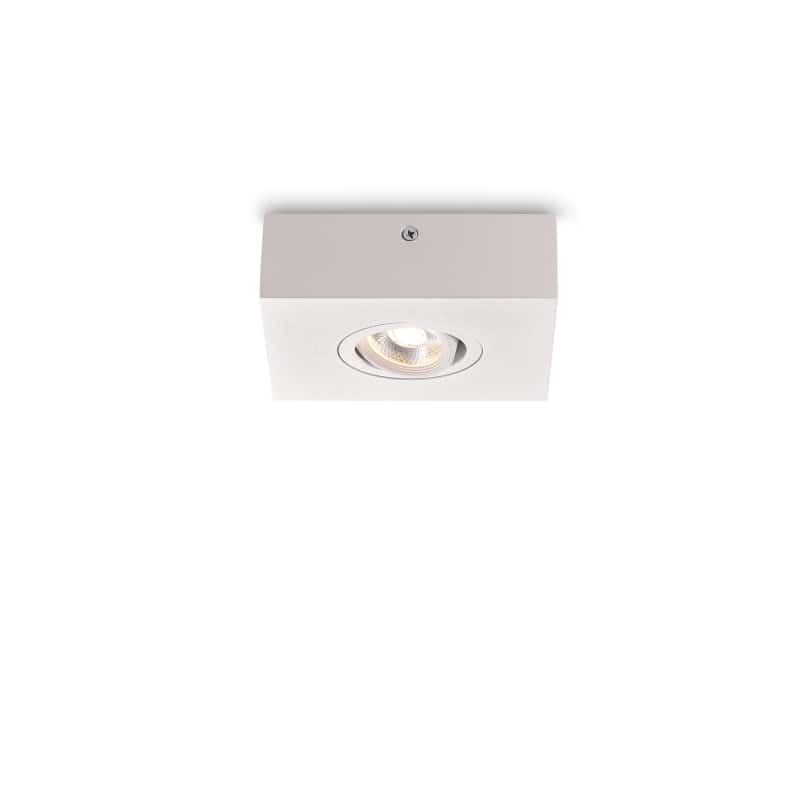 white low profile surface mount downlight on a white background