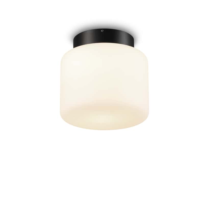 waterproof bathroom ceiling light on a white background 