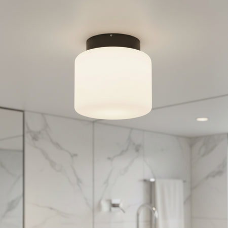 waterproof bathroom ceiling light mounted in a modern home bathroom 