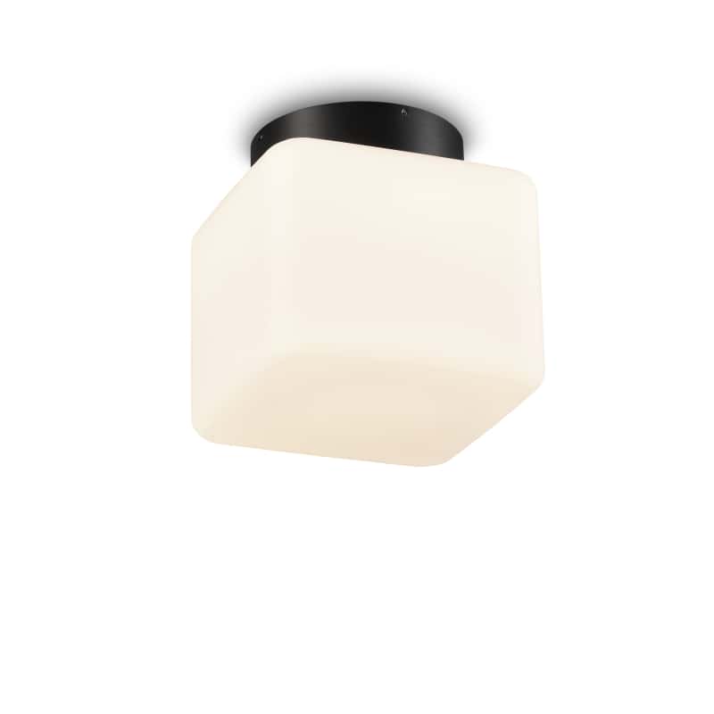 IP65 bathroom ceiling light on a white background 