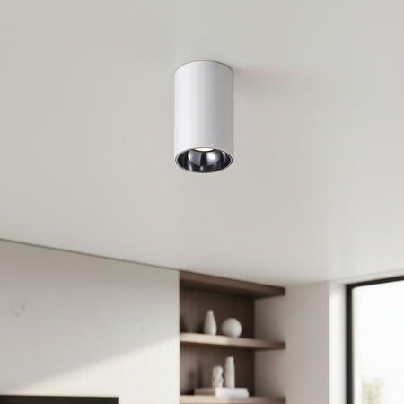 white ceiling surface downlight mounted on the ceiling in a home
