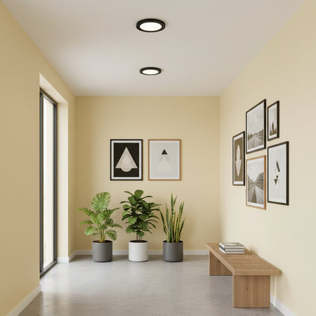 Low profile downlight in a room with pictures and plants on pale yellow walls