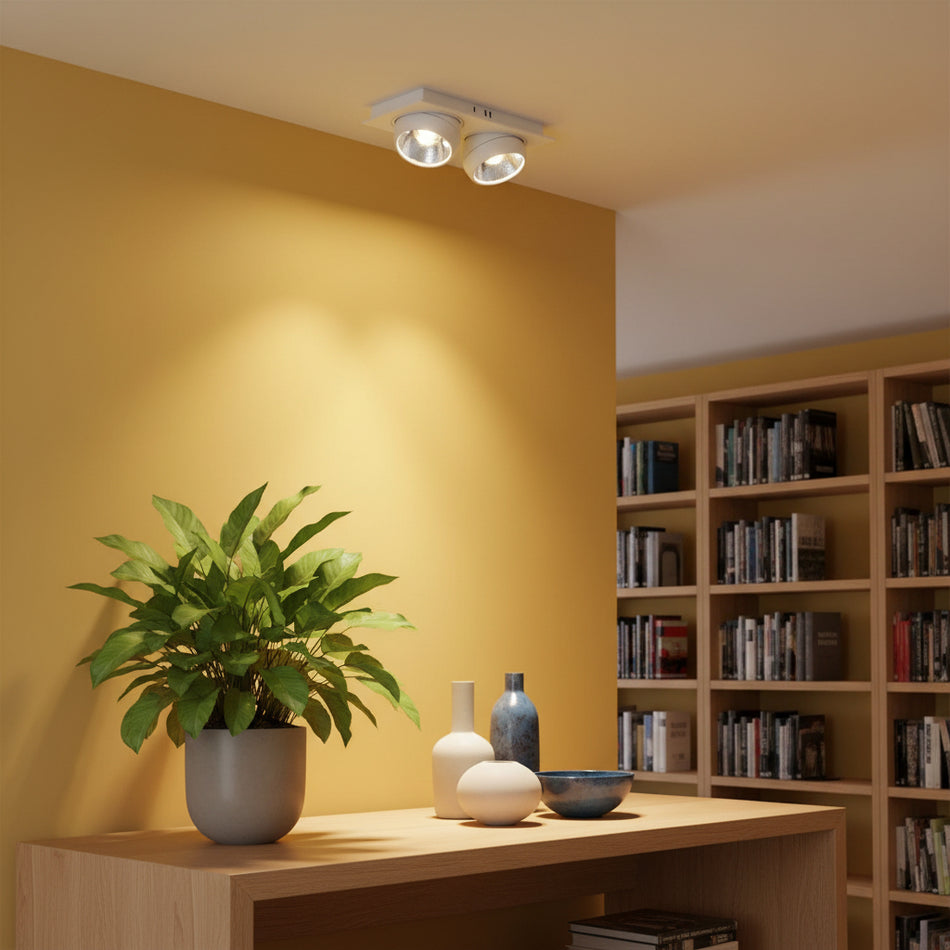Twin recessed downlight in a library of a modern home with a plant against a pale yellow wall