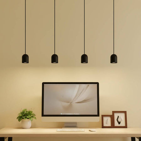Small pendant light above a computer desk with a plant and pictures and screen