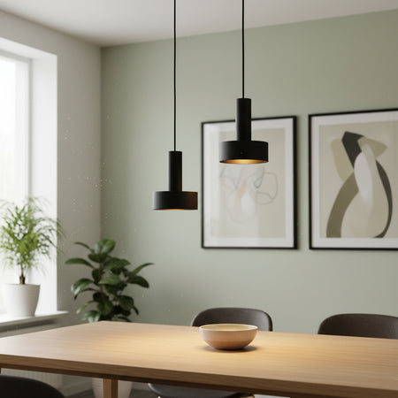 Pendant ceiling lamp above a dining room table with plants and pictures on a pale green background