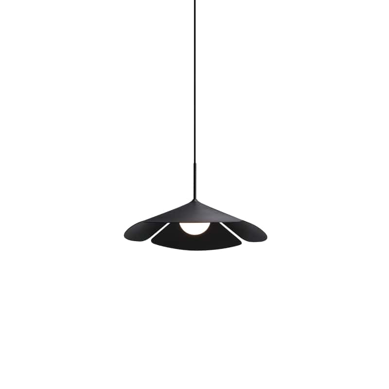 Black ceiling pendant light on a white background